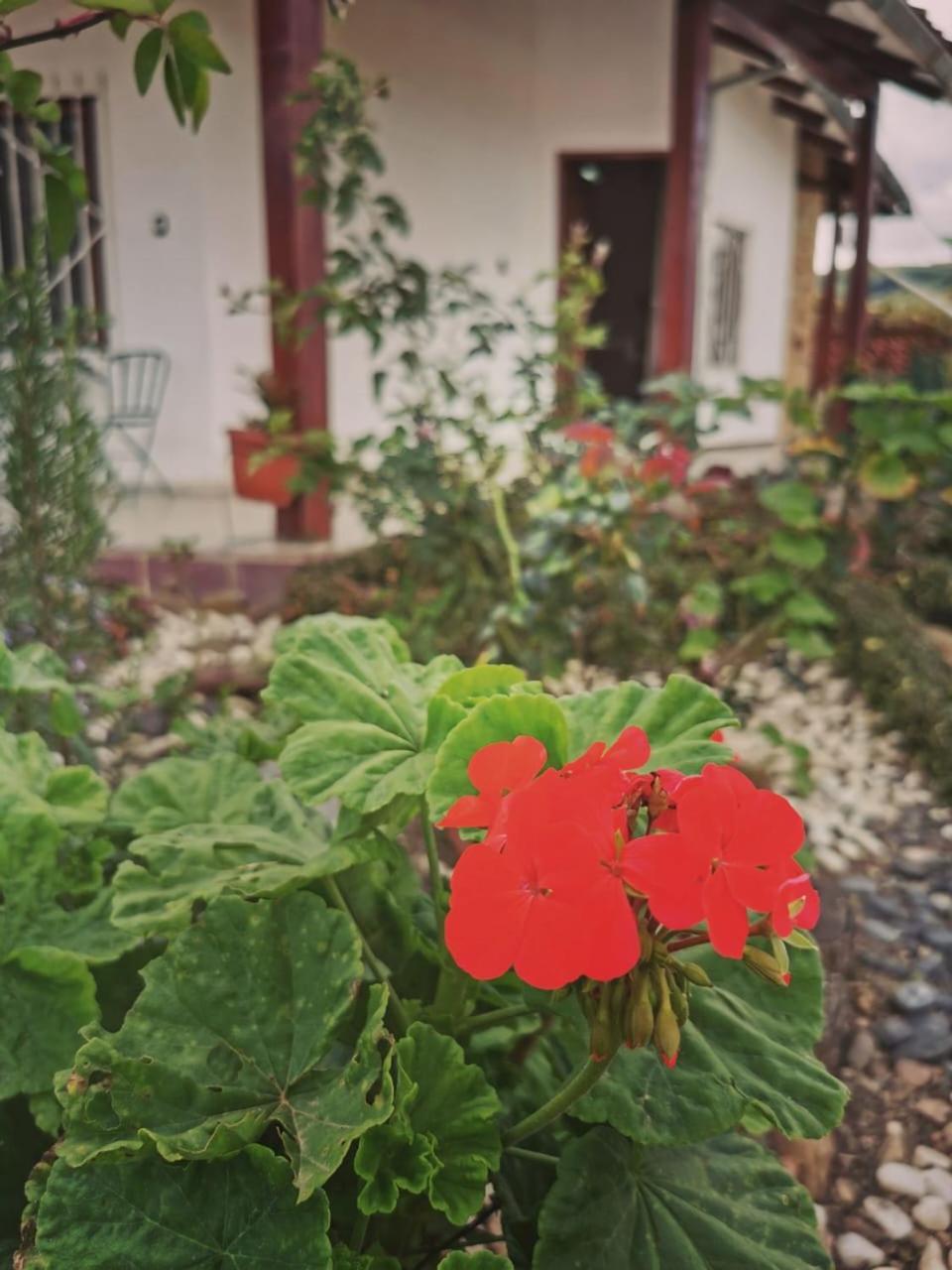 La Cabana - Самайпата Екстериор снимка